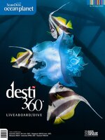 Scuba Diver/Asian Diver